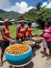 Dominica   Roseau traditional street food